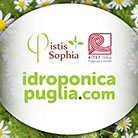 idroponica, puglia, bari, marco, domenico, di cosmo, marketing, communication, comunicazione