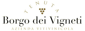 borgo, dei, vigneti, tenuta, azienda, vitivinicola, marco, domenico, di cosmo, marketing, communication, comunicazione